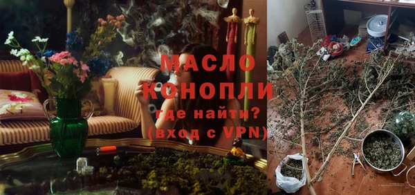 гидра Бородино