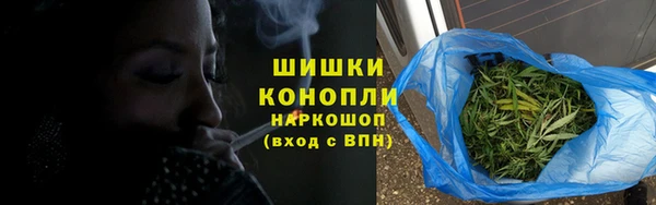 гидра Бородино