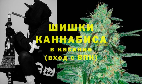 гидра Бородино