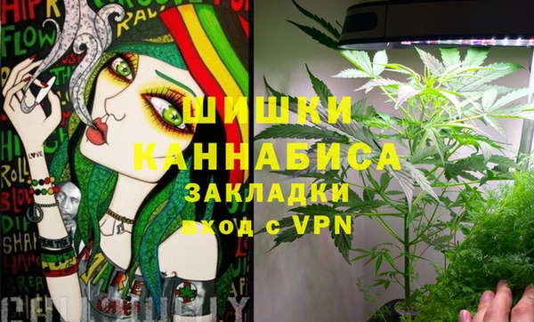 гидра Бородино