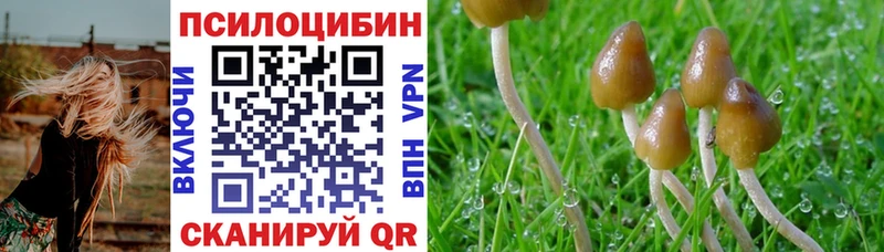 купить  цена  Вилюйск  Галлюциногенные грибы GOLDEN TEACHER 